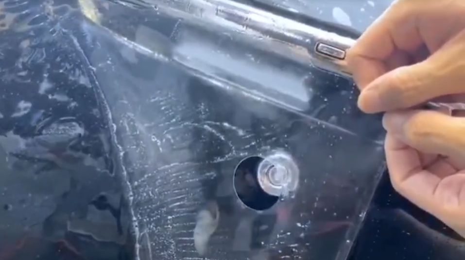 c099d41f02b3a25d889705f7d88a5bb